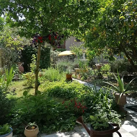 Casa de hóspedes Eco Tower